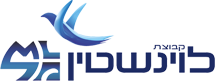 קבוצת לוינשטיין
